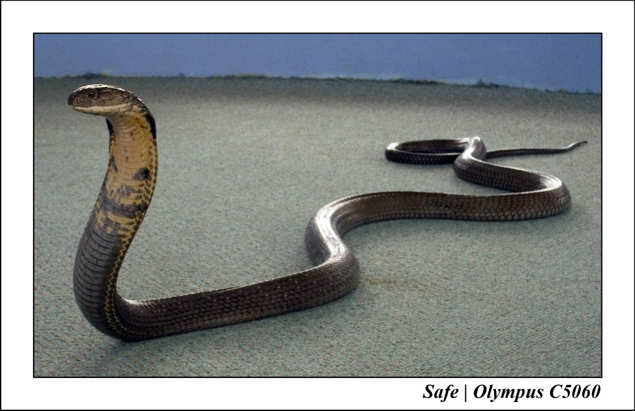 2007 - 12 - Vacances Phuket - 09